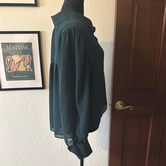 Calvin Klein Collection Green Long Sleeve Button Down Blouse- NWOT - Picture 4 of 6